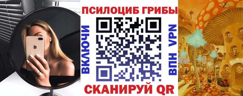 блэк спрут tor  Озёры  Галлюциногенные грибы GOLDEN TEACHER 